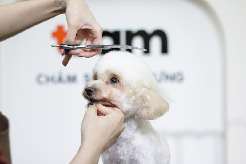 Trạm Chăm Sóc Thú Cưng Rạch Giá