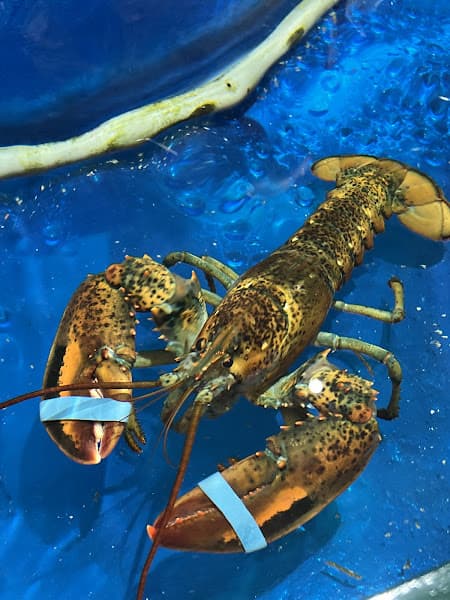Hình ảnh Long Quân Seafood - Hải Sản Tây Ninh - 4