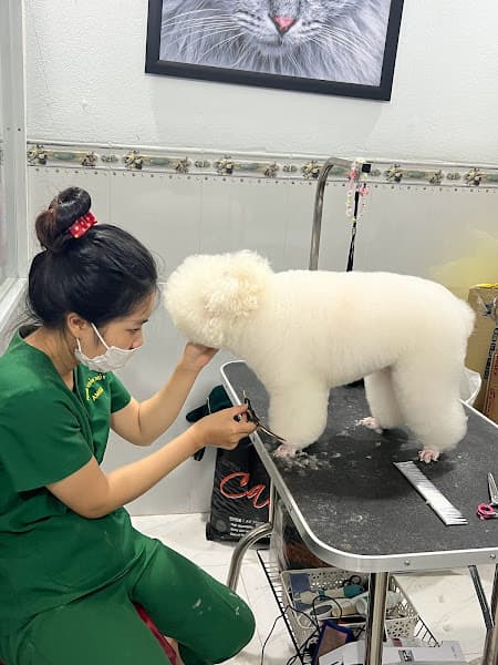 Hình ảnh Phòng Khám Thú Y AMICA - 4