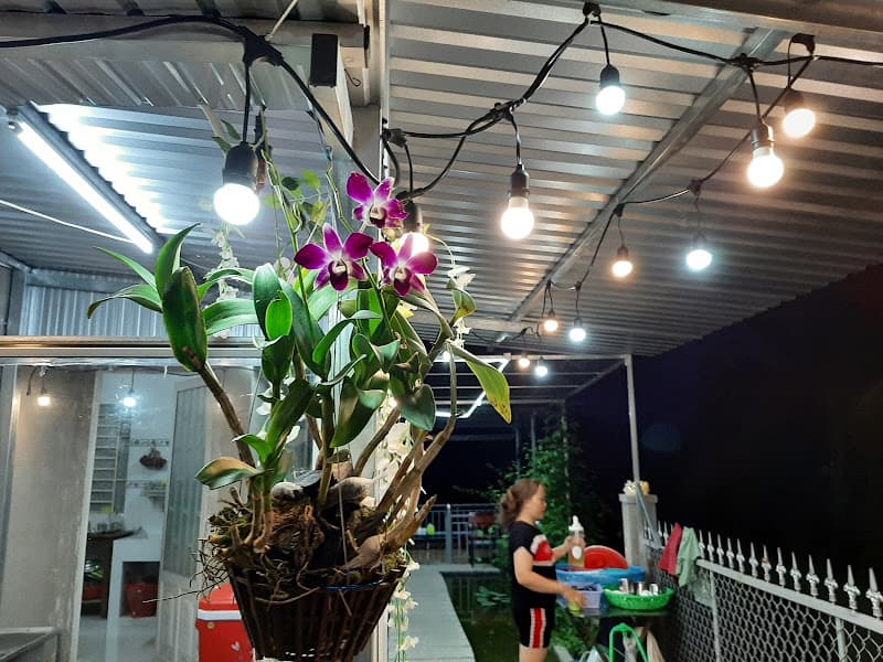 Hình ảnh High Coffee - 4