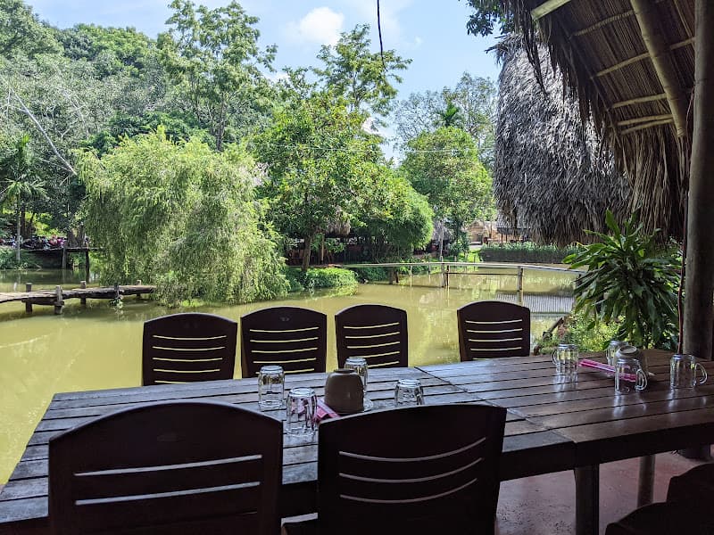 Ảnh bìa Sinh Thái Akô Dhông ( A Cô Thông)