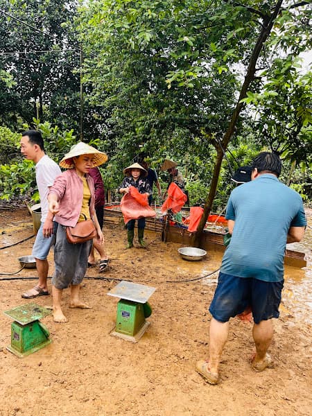 Hình ảnh Nhà máy gạch Mai Sơn - Sơn La - 6