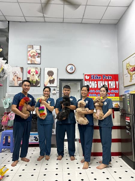 Hình ảnh Phòng Khám Thú Y iLike Pets - Petshop Thú Cưng - Spa Chó Mèo - 4