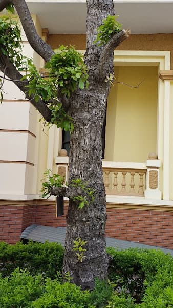 Hình ảnh Bảo tàng Vũ Khí - 4