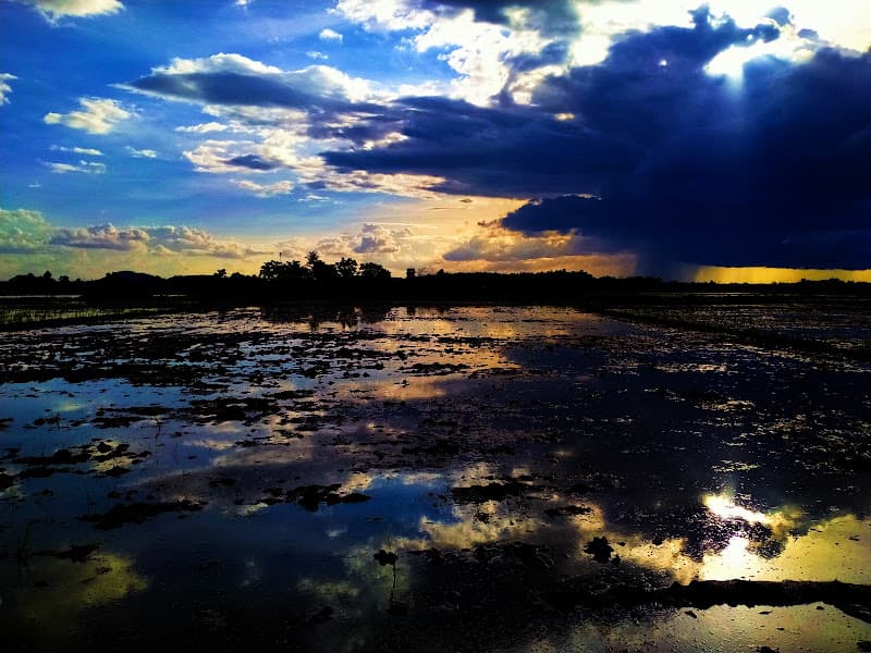 Ảnh bìa Yến Sào và Hồ Cá Ông Bảy