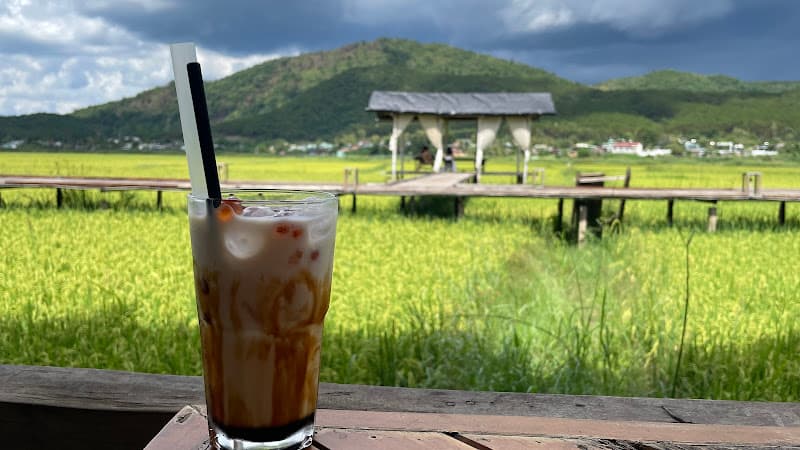 Hình ảnh Lúa Ngô Sơn - 2