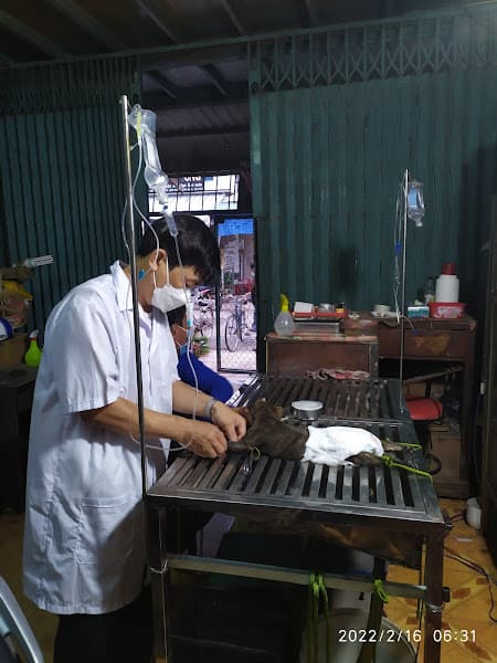 Phòng khám Thú Y Hoàng Hoa