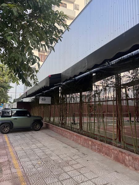 Hình ảnh Cỏ Pickleball - 3