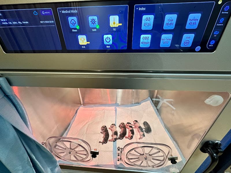 Hình ảnh Phòng Khám Thú Y Ecovet - 3