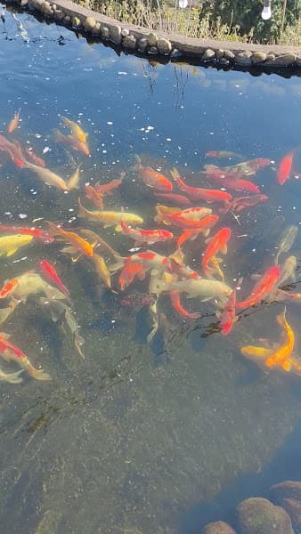 Hình ảnh Chung Coffee&Milk Tea - 4