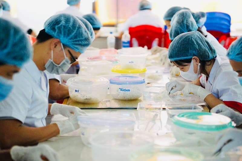 Hình ảnh Yến Sào Phú Quốc - 2