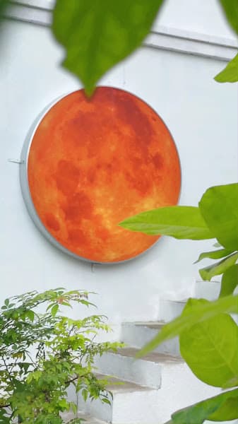 Hình ảnh Đảo Cà Phê - 3