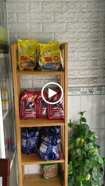 Hình ảnh Tiệm Thú Y Hoàng Sĩ 2 - 6