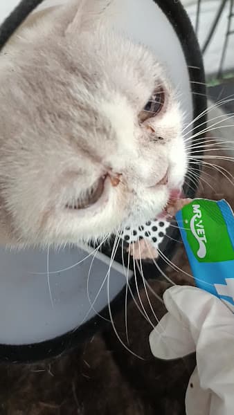 Ảnh bìa Bệnh viện thú y Gia Kiệm