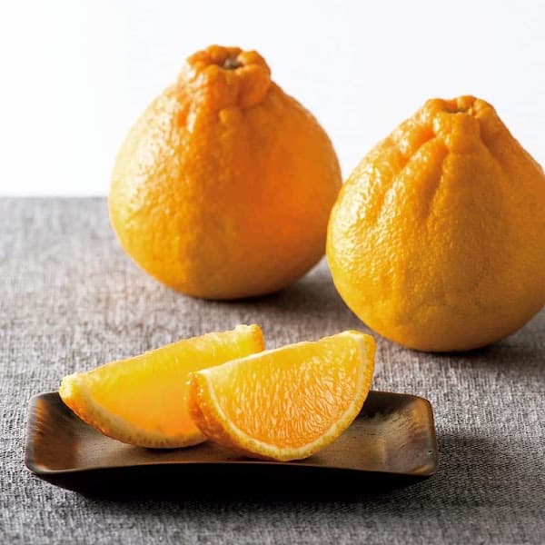 Hình ảnh Cửa hàng trái cây VinFruits - 2