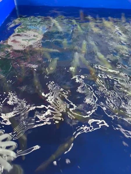 Hình ảnh PAN Restaurant - 8