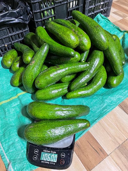 Hình ảnh Tiệm Trà Cô Hương - 3