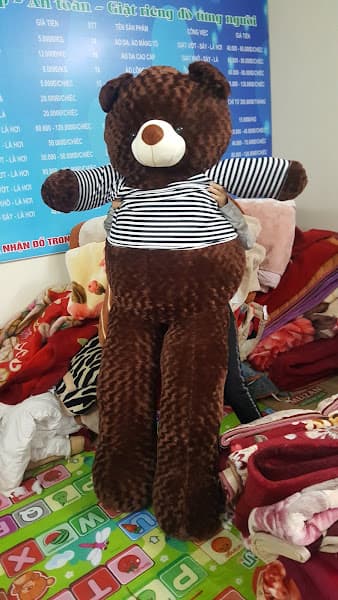 Hình ảnh Giặt Là thắng Linh - 5