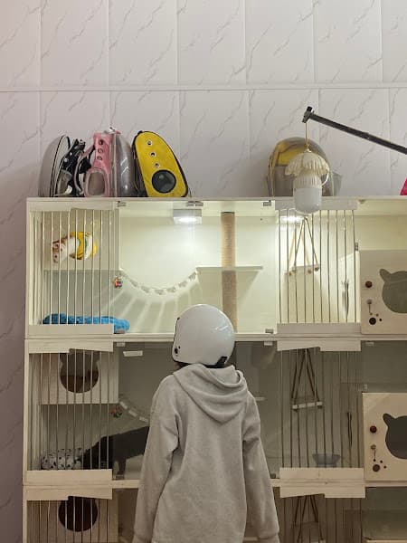 Hình ảnh Phòng khám thú y Bảo Lộc- Thú y Hi Pet - 2