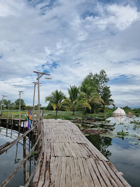 Hình ảnh Cúc Phương Quán - Đá Nam Tài - 5