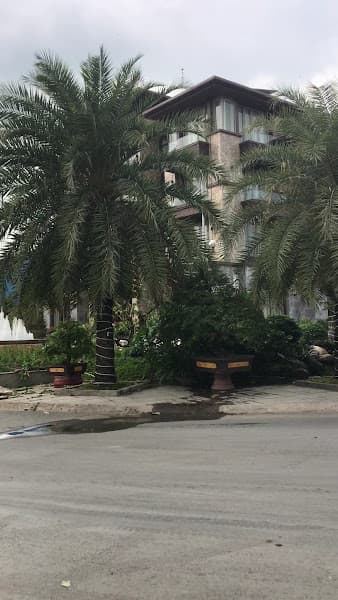 Hình ảnh PHUC TAM LOI FISHERIES IMPORT EXPORT COMPANY LIMITED - 4