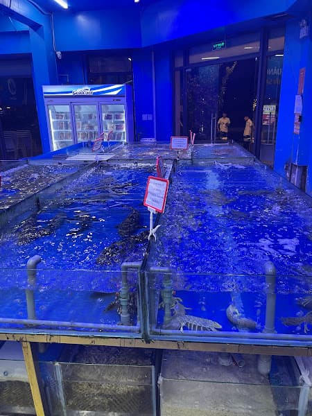 Hình ảnh Hải Sản Quảng Ninh - Trọng hải sản Chi nhánh Vinhomes Ocean Park 1 - 4