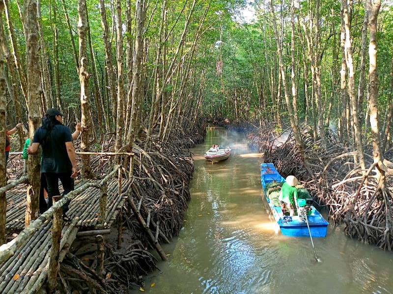 Vườn Quốc Gia Mũi Cà Mau