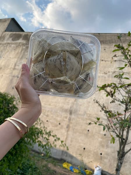 Hình ảnh Yến sào Nhân Trần - 5