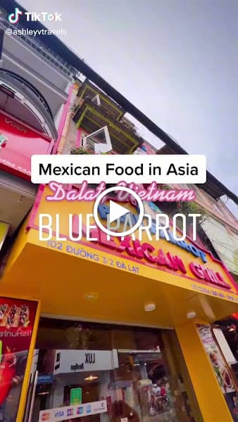 Hình ảnh Blue Parrot Mexican Grill - 4