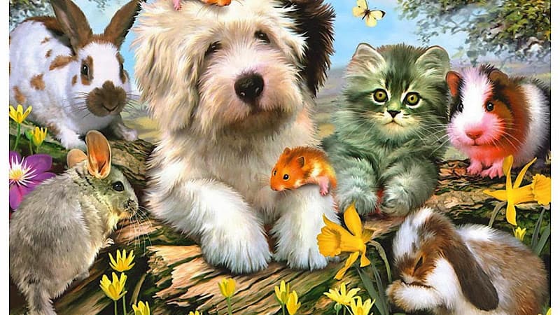 Hình ảnh Lolipet - Chuyên bán chuột hamster , nhím cảnh , thỏ cảnh - 4