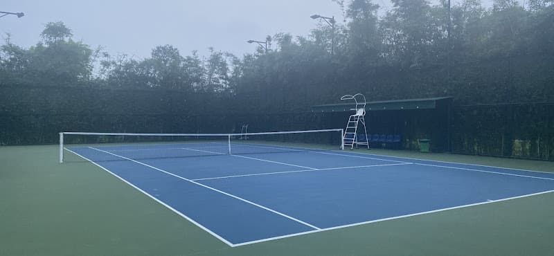 Hình ảnh Tennis Vinsmart - 4