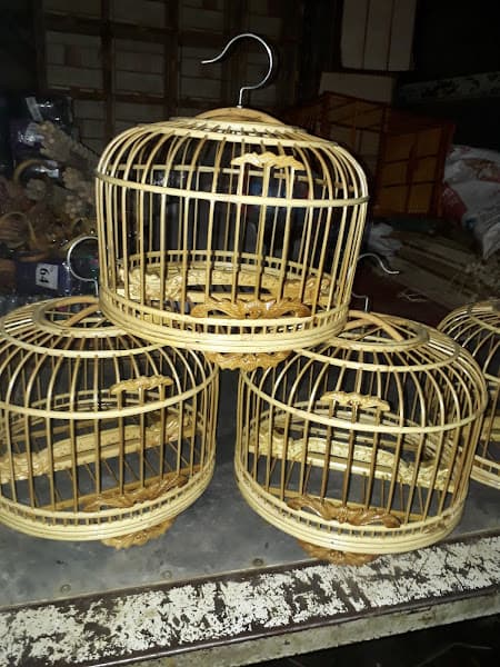 Hình ảnh Công ty TNHH Giày Nguyễn Huệ - 3