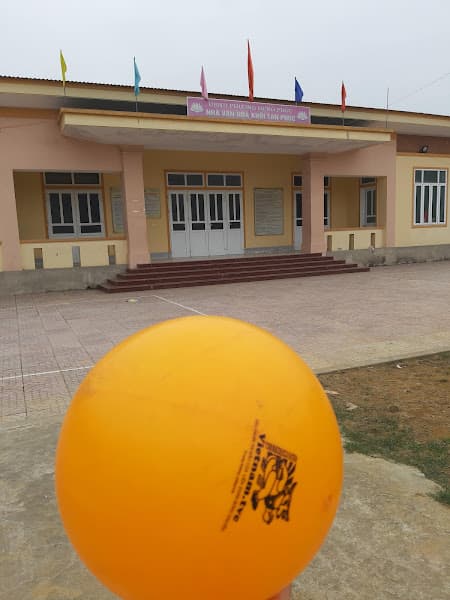 Hình ảnh Hội Quán Khối Tân Phúc - 3