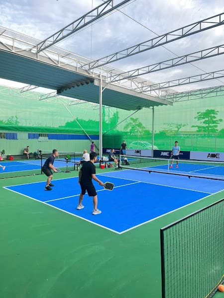 Ảnh bìa ACE PICKLEBALL CLUB