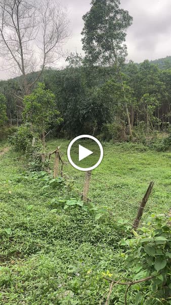 Hình ảnh Trại Hươu Ông Khẩn - 4