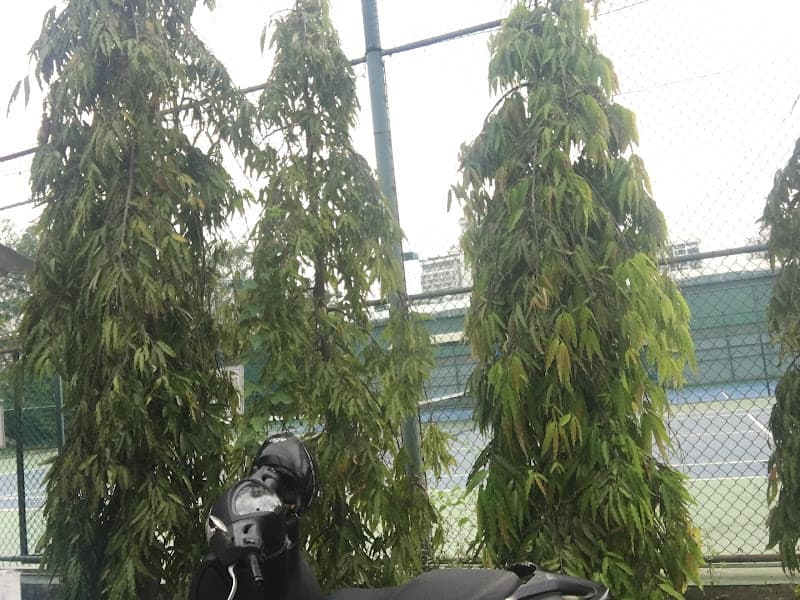 Hình ảnh Sân Tennis Trần Thái - 4