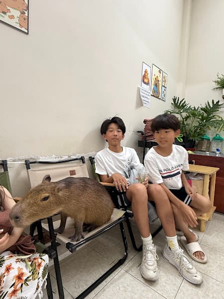 Hình ảnh Capybara - 2