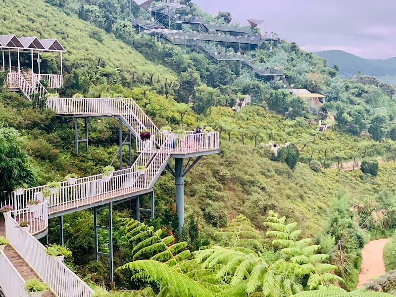 Hình ảnh Điểm Du Lịch Chuồn Chuồn - 3