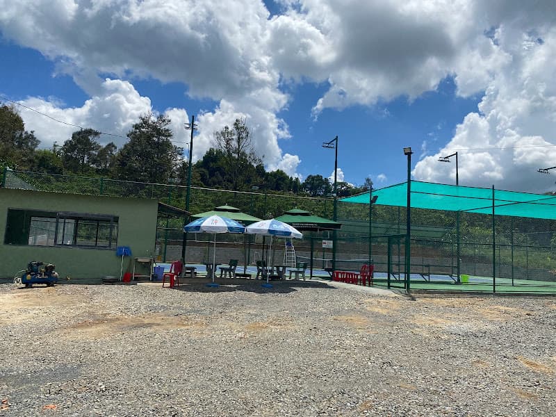 Hình ảnh SÂN TENNIS THÀNH HƯNG - 4