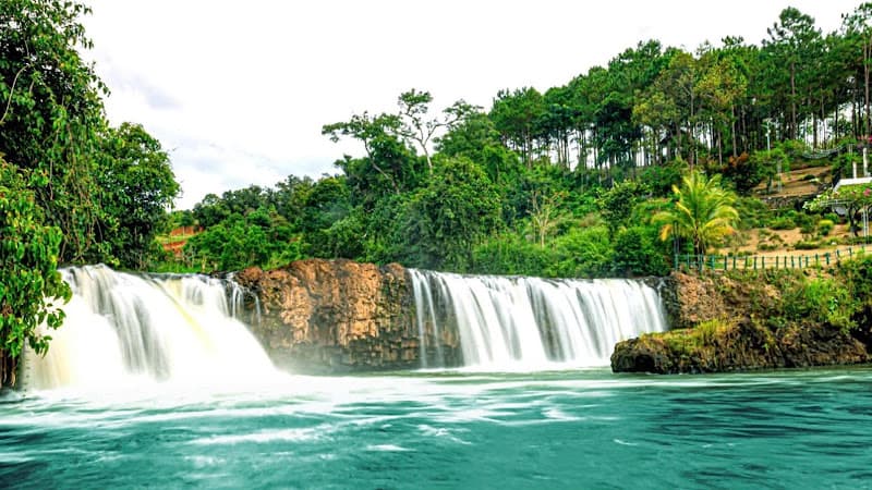 Ảnh bìa D-Hill Village( Homstay; Pickleball; Tennis;Toten, Bơi..)