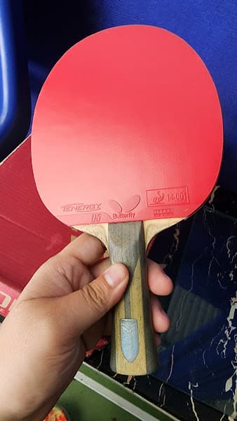 Hình ảnh CLB Bóng Bàn PPG Nha Trang - PPG Table Tennis Club - 6