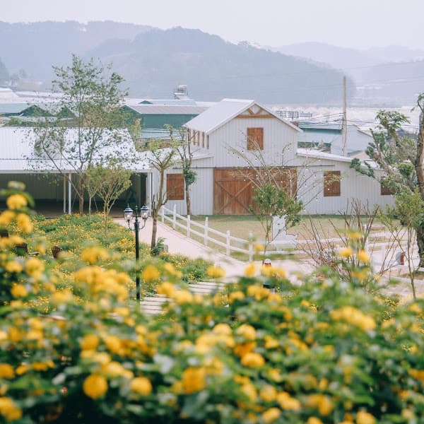 Hình ảnh Nông Trại Cún Puppy Farm - 4