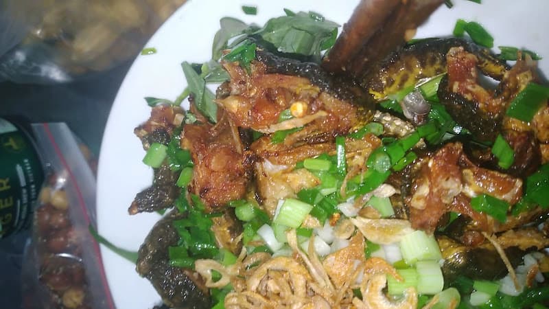 Hình ảnh Quán Chuột Đồng - 5