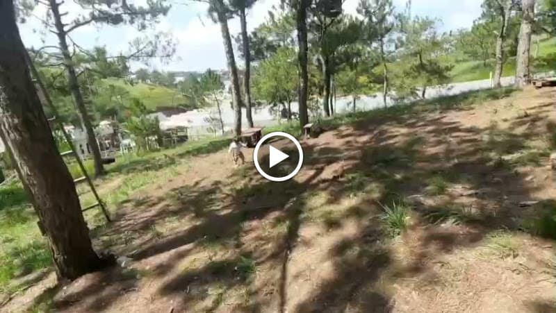 Hình ảnh NÔNG TRẠI AN HY - 3