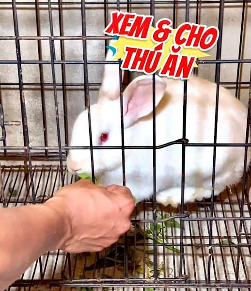 Hình ảnh Anvy Coffee - Khu vui chơi - 3