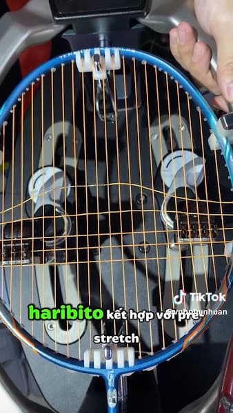 Hình ảnh VNB Sports - Hệ thống cửa hàng cầu lông, tennis, pickleball - 2