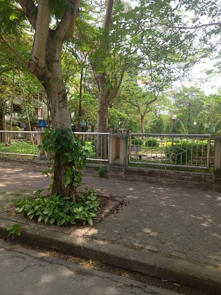 Hình ảnh Tennis Trung Yên - 3