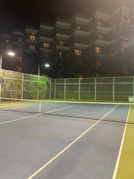Hình ảnh Tennis Pickleball Novotel - 4