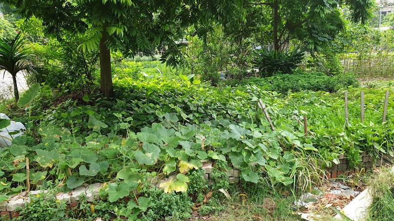 Hình ảnh Công viên Phú Điền A - 3