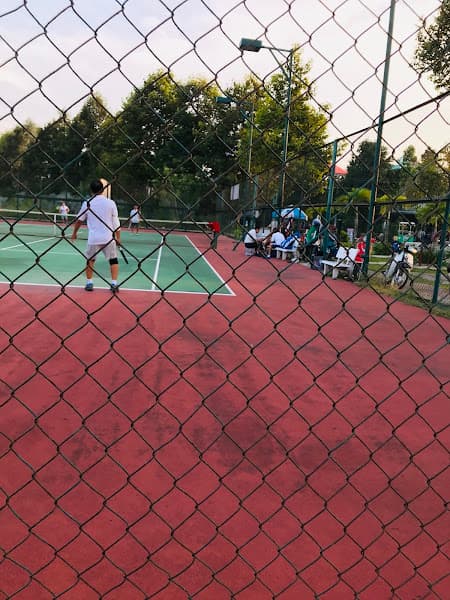 Ảnh bìa Sân Tennis Thế kỷ